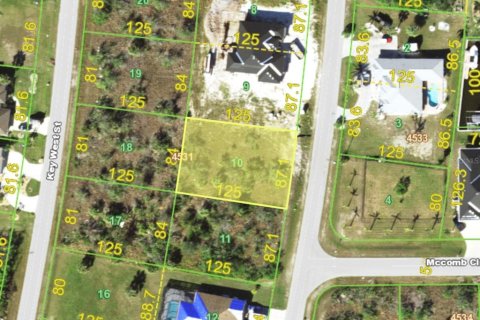 Land in Port Charlotte, Florida № 2162556 - photo 2