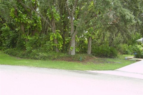Terrain à vendre à Kissimmee, Floride № 2239947 - photo 3