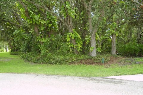 Terrain à vendre à Kissimmee, Floride № 2239947 - photo 4