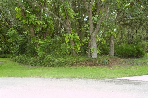Land in Kissimmee, Florida № 2239947