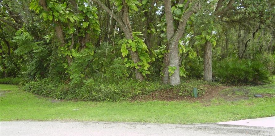 Terrain à Kissimmee, Floride № 2239947