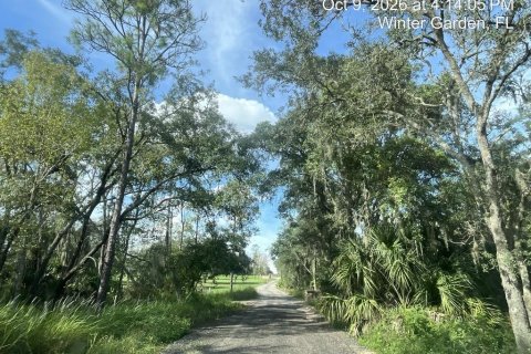 House in Winter Garden, Florida 3 bedrooms, 208.01 sq.m. № 2419956