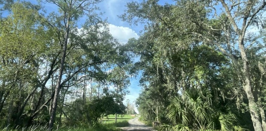 House in Winter Garden, Florida 3 bedrooms, 208.01 sq.m. № 2419956