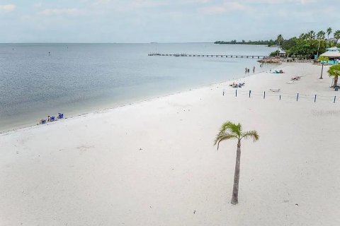 Condo in Ruskin, Florida, 2 bedrooms  № 1904285 - photo 19