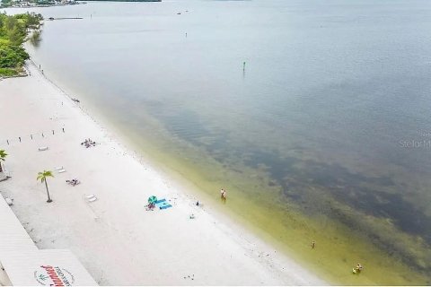 Condo in Ruskin, Florida, 2 bedrooms  № 1904285 - photo 21