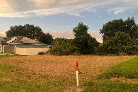 Terreno en venta en Kissimmee, Florida № 2196759 - foto 7