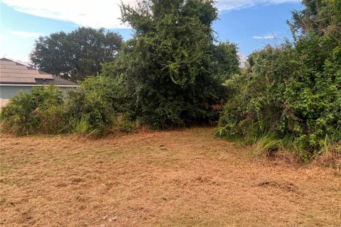 Terreno en venta en Kissimmee, Florida № 2196759 - foto 3