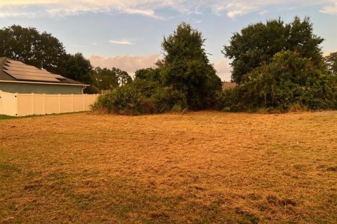 Terreno en venta en Kissimmee, Florida № 2196759 - foto 8
