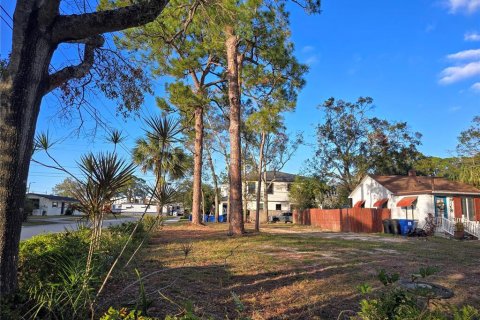 Land in Saint Petersburg, Florida № 1540017 - photo 2