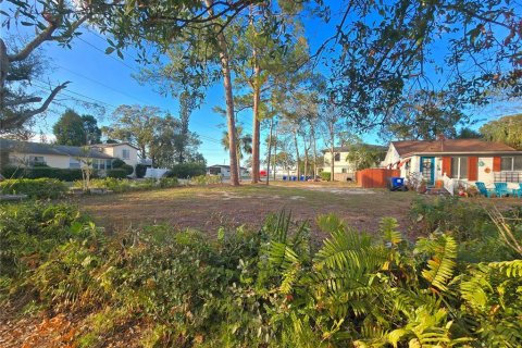 Land in Saint Petersburg, Florida № 1540017 - photo 1