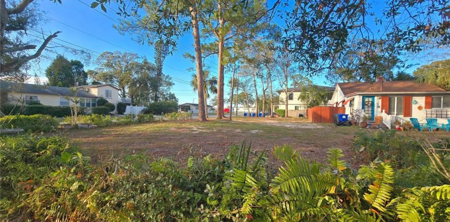 Land in Saint Petersburg, Florida № 1540017