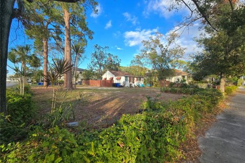 Land in Saint Petersburg, Florida № 1540017 - photo 3