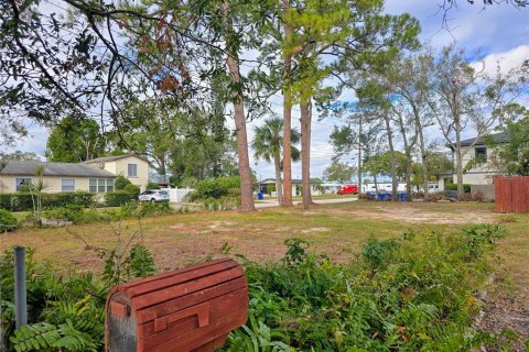Land in Saint Petersburg, Florida № 1540017 - photo 5