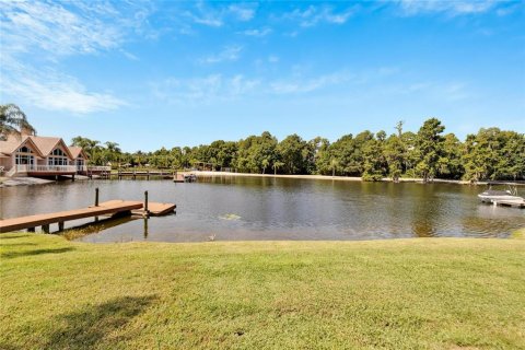 Villa ou maison à vendre à Tampa, Floride: 5 chambres, 500.84 m2 № 2125410 - photo 4