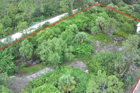 Land in Punta Gorda, Florida № 2116751