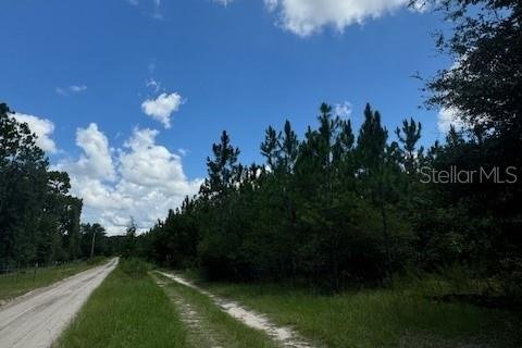 Terreno en venta en Fort White, Florida № 1901136 - foto 8