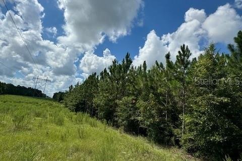 Terreno en venta en Fort White, Florida № 1901136 - foto 3