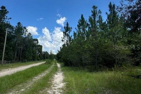 Terreno en venta en Fort White, Florida № 1901136 - foto 7
