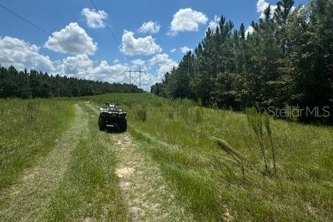 Terreno en venta en Fort White, Florida № 1901136 - foto 24