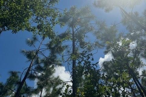 Terreno en venta en Fort White, Florida № 1901136 - foto 18