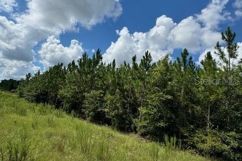 Terreno en venta en Fort White, Florida № 1901136 - foto 2