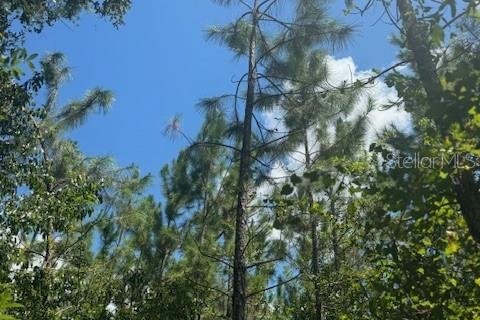 Terreno en venta en Fort White, Florida № 1901136 - foto 19