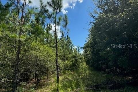 Terreno en venta en Fort White, Florida № 1901136 - foto 11
