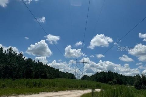 Terreno en venta en Fort White, Florida № 1901136 - foto 25