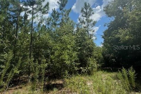 Terreno en venta en Fort White, Florida № 1901136 - foto 16