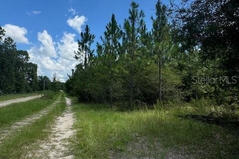 Terreno en venta en Fort White, Florida № 1901136 - foto 5