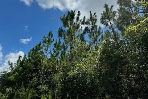 Terreno en venta en Fort White, Florida № 1901136 - foto 12
