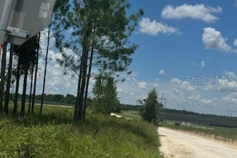 Terreno en venta en Fort White, Florida № 1901136 - foto 30