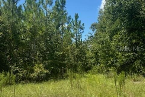 Terreno en venta en Fort White, Florida № 1901136 - foto 22