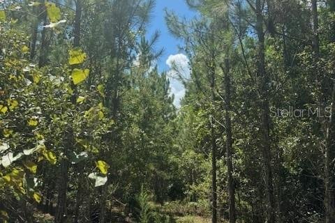 Terreno en venta en Fort White, Florida № 1901136 - foto 20