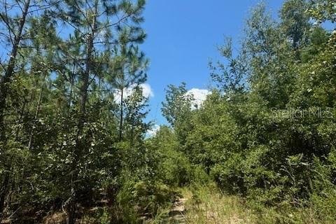 Terreno en venta en Fort White, Florida № 1901136 - foto 21