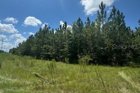 Terreno en venta en Fort White, Florida № 1901136 - foto 23