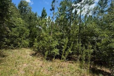 Terreno en venta en Fort White, Florida № 1901136 - foto 17