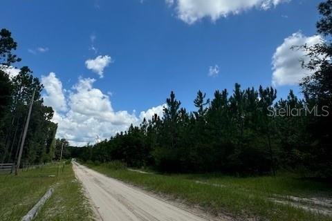 Terreno en venta en Fort White, Florida № 1901136 - foto 9