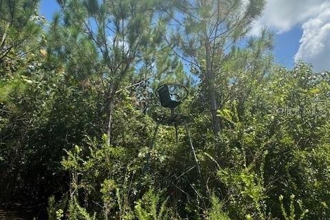 Terreno en venta en Fort White, Florida № 1901136 - foto 14