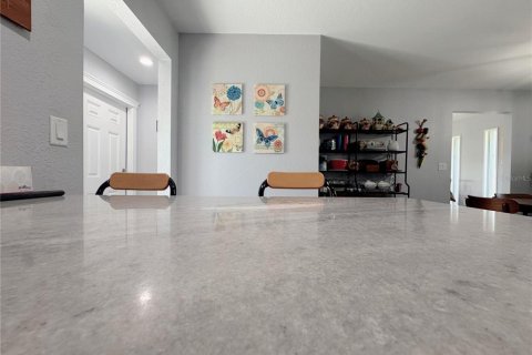 Villa ou maison à vendre à Ocala, Floride: 4 chambres, 257.71 m2 № 1850055 - photo 26