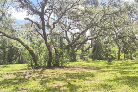 Casa en venta en Dade City, Florida, 3 dormitorios, 187.11 m2 № 1800493 - foto 6