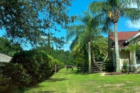 Villa ou maison à louer à Apopka, Floride: 4 chambres, 183.95 m2 № 2413714 - photo 18