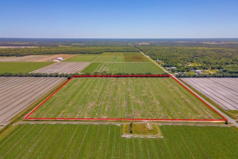 Land in Bunnell, Florida № 1644208 - photo 5