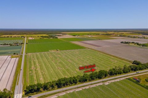 Land in Bunnell, Florida № 1644208 - photo 2