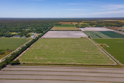 Land in Bunnell, Florida № 1644208 - photo 6