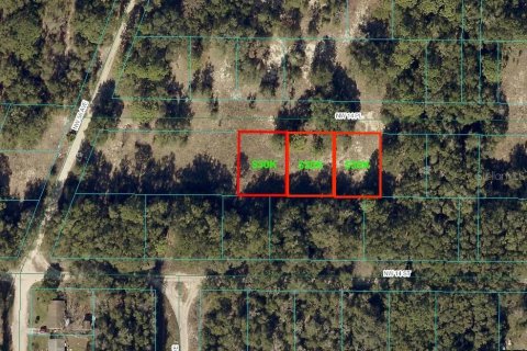 Land in Ocala, Florida № 1658772 - photo 3