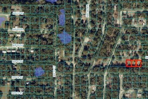 Land in Ocala, Florida № 1658772 - photo 2