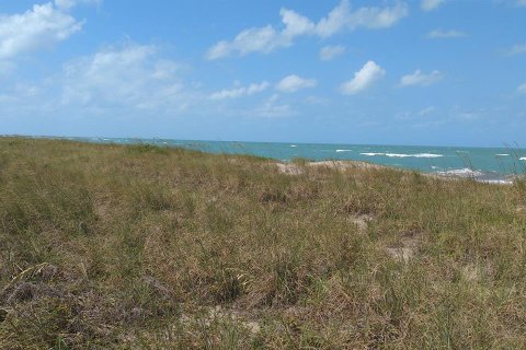 Copropriété à louer à St. Lucie, Floride: 1 chambre, 62.99 m2 № 251633 - photo 19