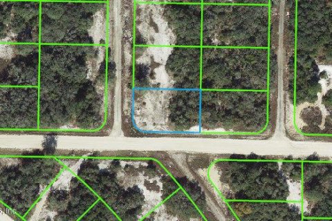 Land in Lake Placid, Florida № 2234955