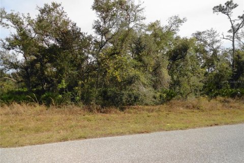Land in Port Charlotte, Florida № 2160389 - photo 3